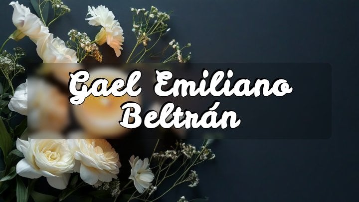 Gael Emiliano Beltrán